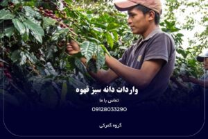 واردات قهوه