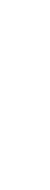شرکت گمرکی